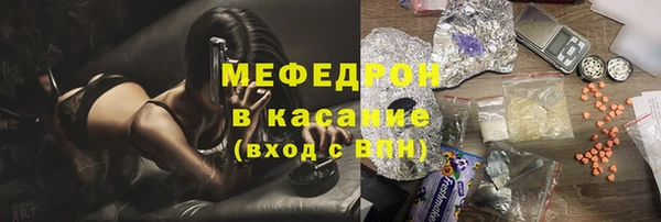 сатива Сатка