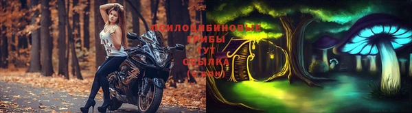 спиды Сафоново