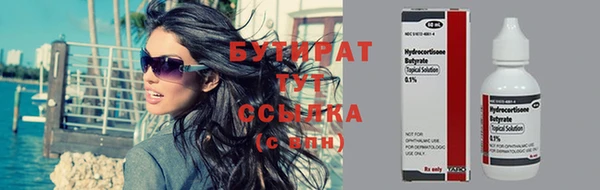 сатива Сатка