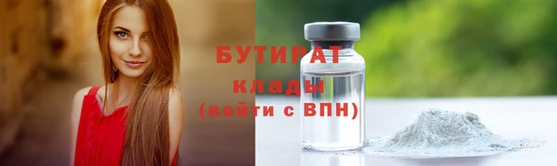 сатива Сатка