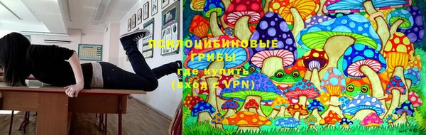 спиды Сафоново