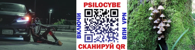 Галлюциногенные грибы Psilocybine cubensis  Купить  Юрюзань 